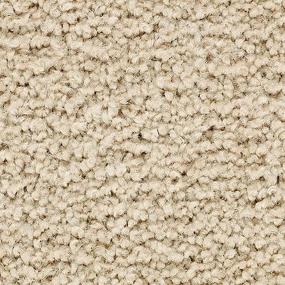 Artisan Delight - Ecru Swatch