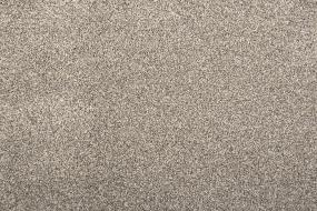 Beech Hill - Earth Swatch