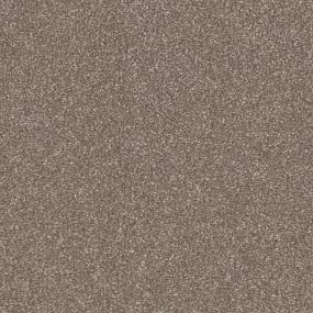 Tree Trunk Zoomed Swatch