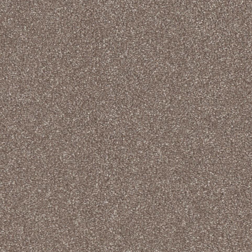 Tree Trunk Zoomed Swatch