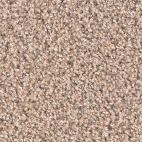 Broadcast Plus - Almond Swatch