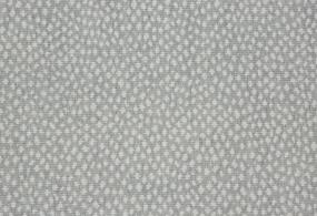 Ditto - Chrome Swatch