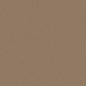 Modern Sophistication - Stepping Stone Swatch