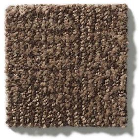 Ario - Fallen Timber Swatch