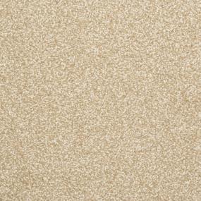 Delight - Cameo Swatch