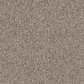 Neutral Ground Zoomed Swatch