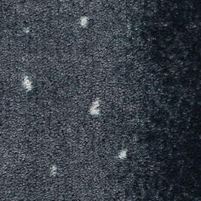 Navy Antelope Zoomed Swatch