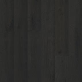 Vintage Voyage - Obsidian Swatch