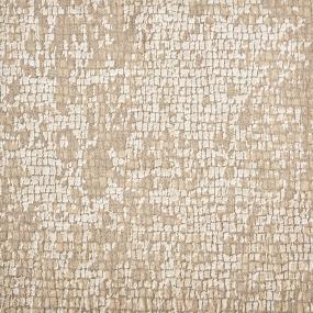 Momentum - Desert Swatch
