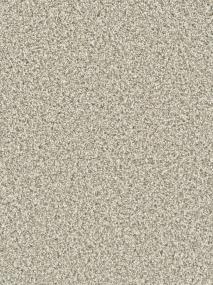 Seashells Swatch Thumbnail