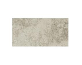 Silque Matte 12X24 - Classic Swatch