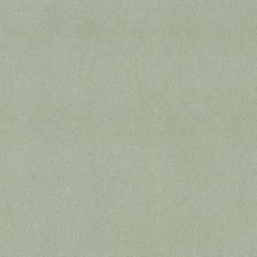 Advisor Swatch Thumbnail