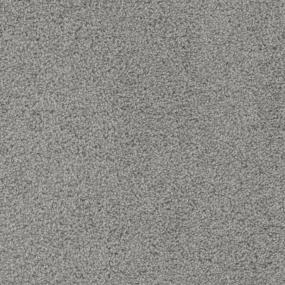 Chariot Zoomed Swatch