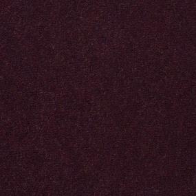 Orchid Zoomed Swatch