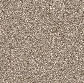 Stunning - Acorn Swatch