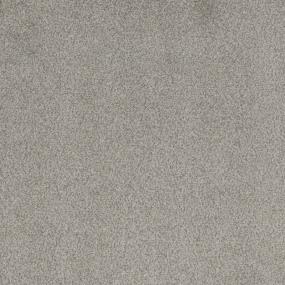 Silver Coin Swatch Thumbnail