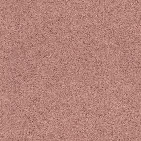 Tribute - Siena Swatch