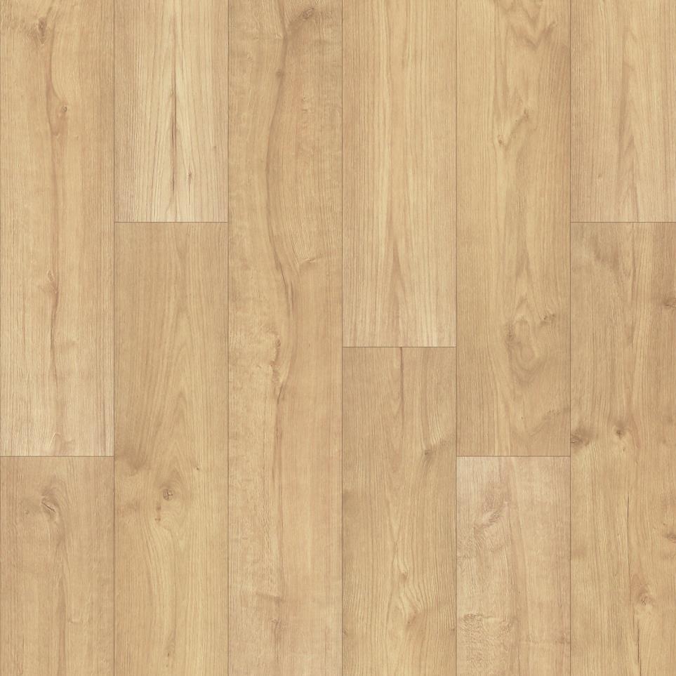 Canoe Oak Zoomed Swatch