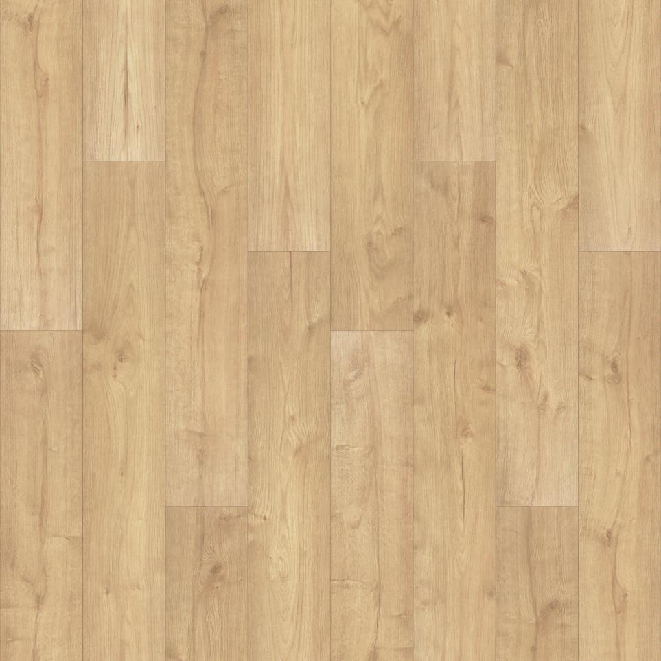 Canoe Oak Swatch