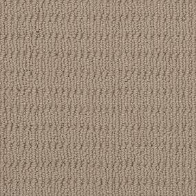 Graceful Opulence - Shell Dust Swatch