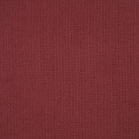 Color Array Tl II 24x24 - Redwood Swatch