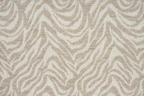 Mountain Zebra - Barley Swatch