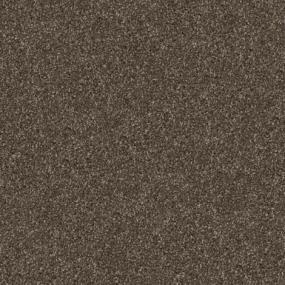 Dachshund Swatch Thumbnail