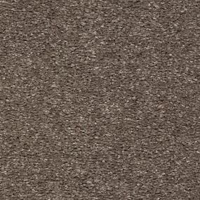 Dramatic Intrigue - Portobello Swatch