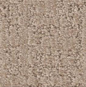 Shadow Colossal - Desert Dune Swatch