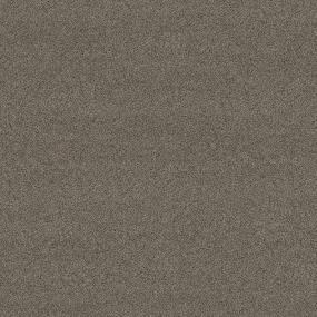 Slate Tranquility I - Earthtone Swatch