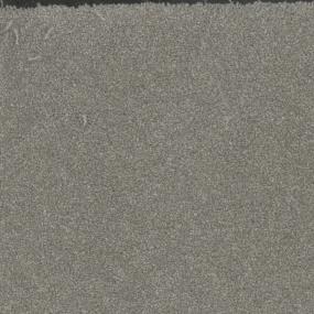 Top Choice Zoomed Swatch