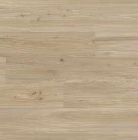 Van Gogh - Indy Elm Swatch