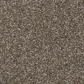 Driftwood Swatch Thumbnail