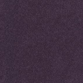Tribute - Couleur Swatch