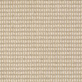 Timeless Swatch Thumbnail