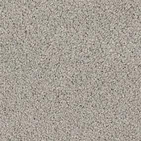 Dove Gray Swatch