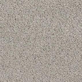 Dove Gray Zoomed Swatch