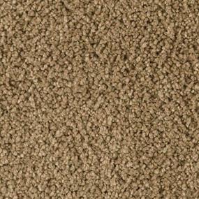 Peyote Zoomed Swatch