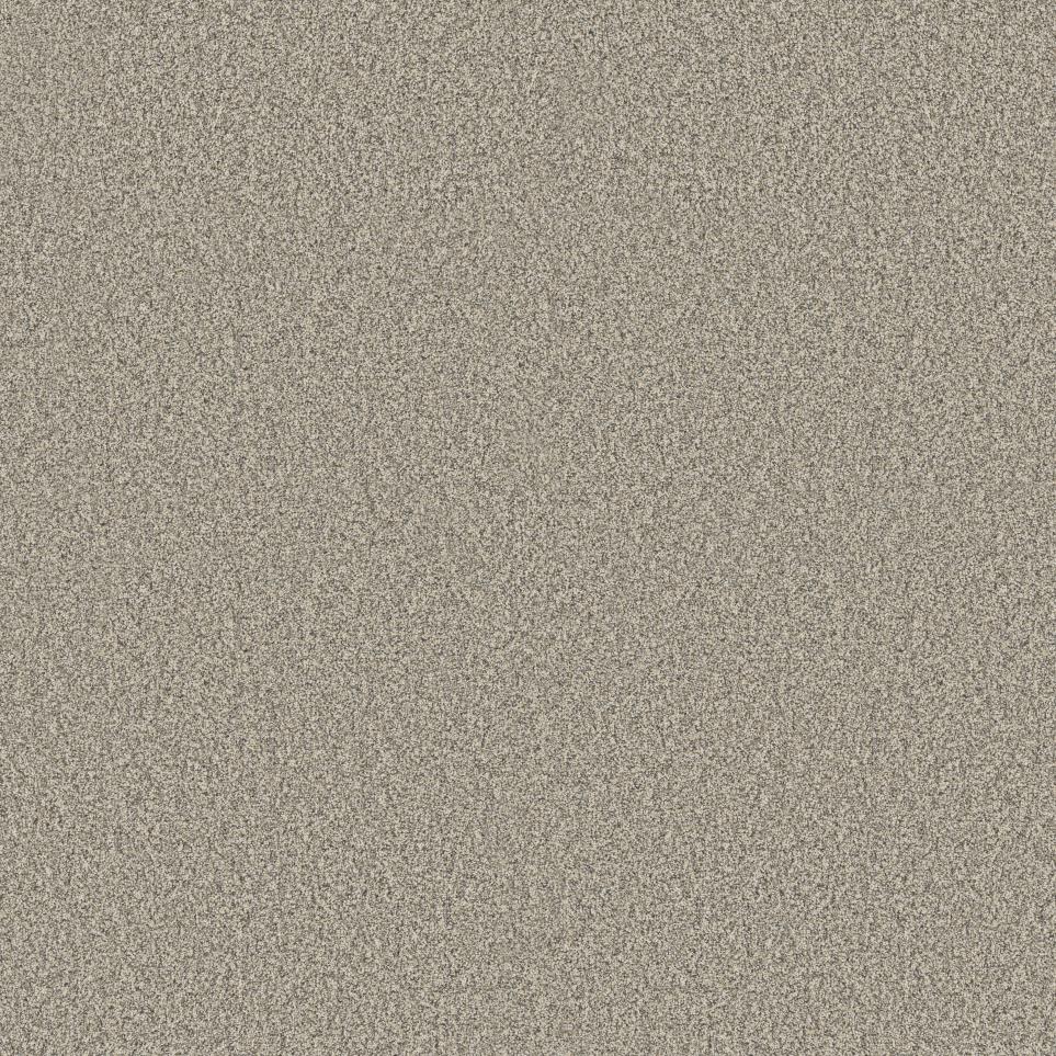 Bleached Oak Swatch