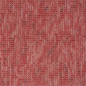 Samba - Berry Swatch