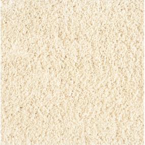 Shaggy Plush - Ivory Swatch