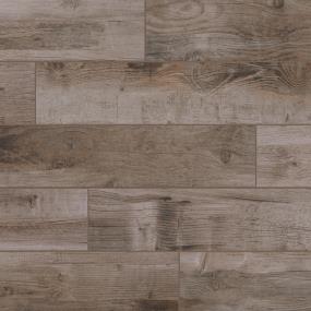 Bryson Valley Plank 8X48 Mt - Petrified Forest Matte Swatch