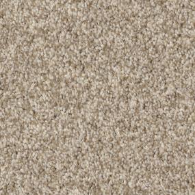 Biscuit Zoomed Swatch