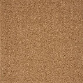 Charade - Toffee Swatch
