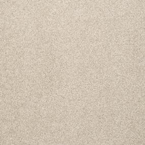 Dazzle - Driftwood Swatch