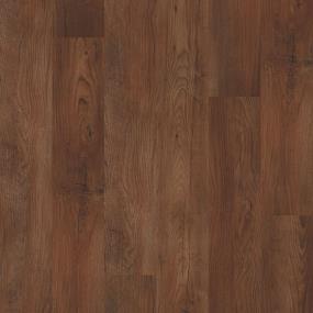 Batam Plus 6 - Warm Chestnut Swatch