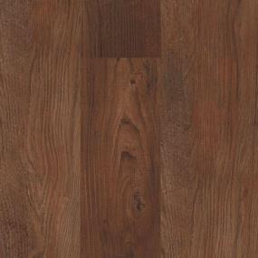 Warm Chestnut Zoomed Swatch
