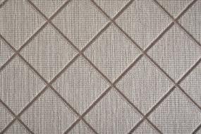 Darwin - Dove Swatch