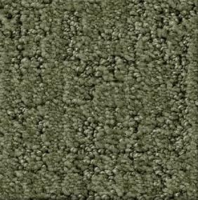 Shadow Colossal - Wilderness Swatch