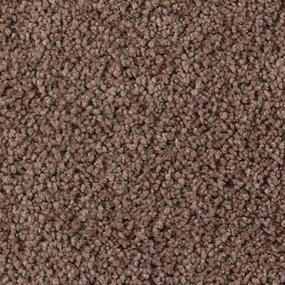 Soft Excellence - Lyrical Swatch